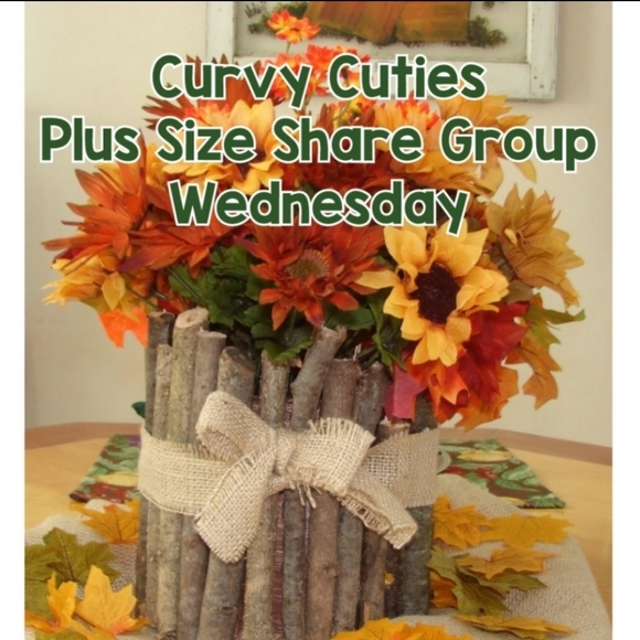 11/24 PLUS SIZE SHARE GROUP: CURVY CUTIES